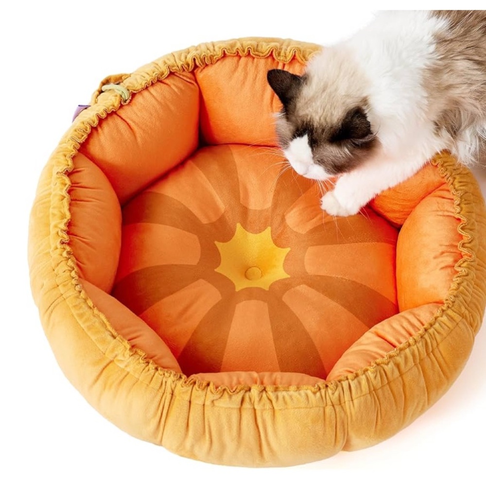 🎃🆕 Adjustable Plush Pumpkin pet bed for cats or small dogs
